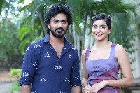 Peddha Kapu1 Movie Success Meet